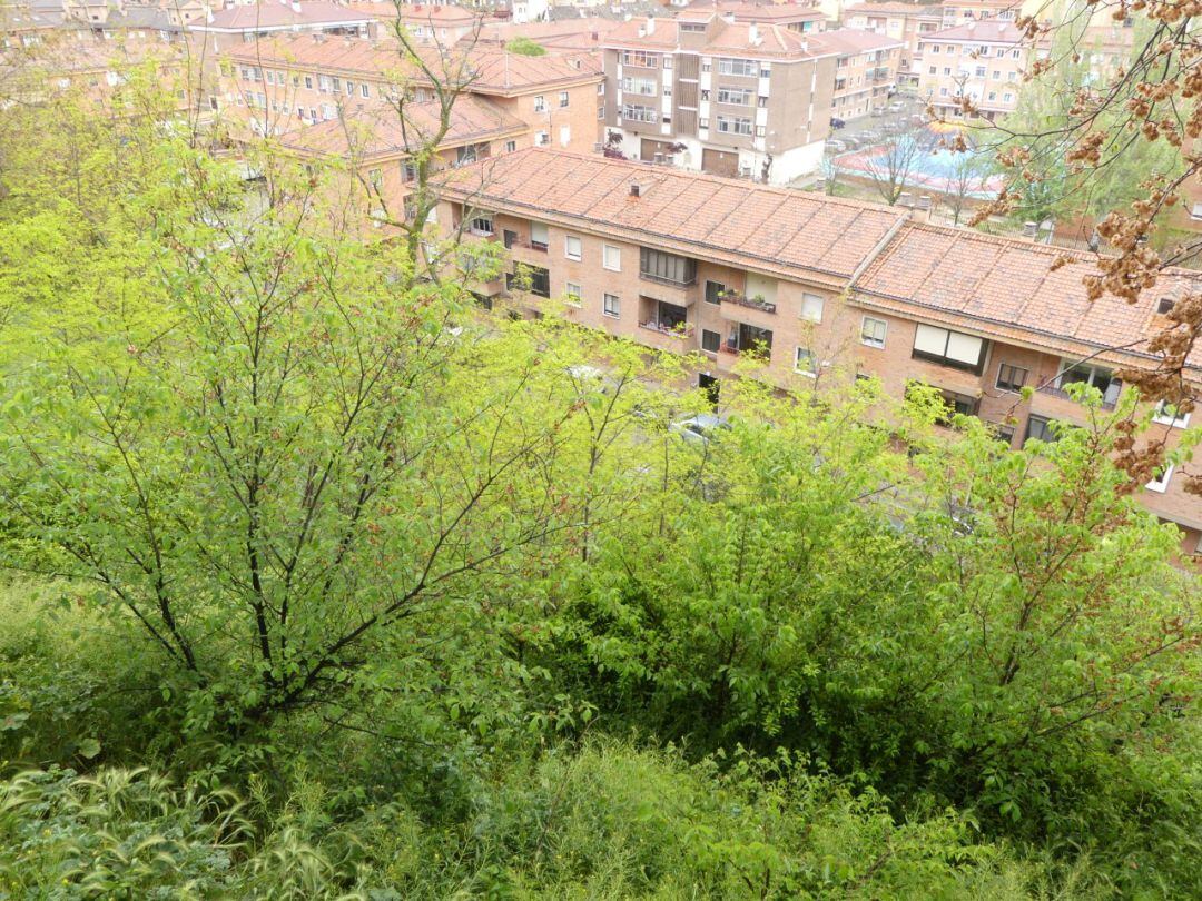 Ladera del Paseo del Salón donde se prevé la instalación del ascensor