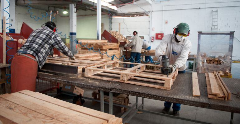 Interns fabricant palets al taller que té el CIRE a Raïmat