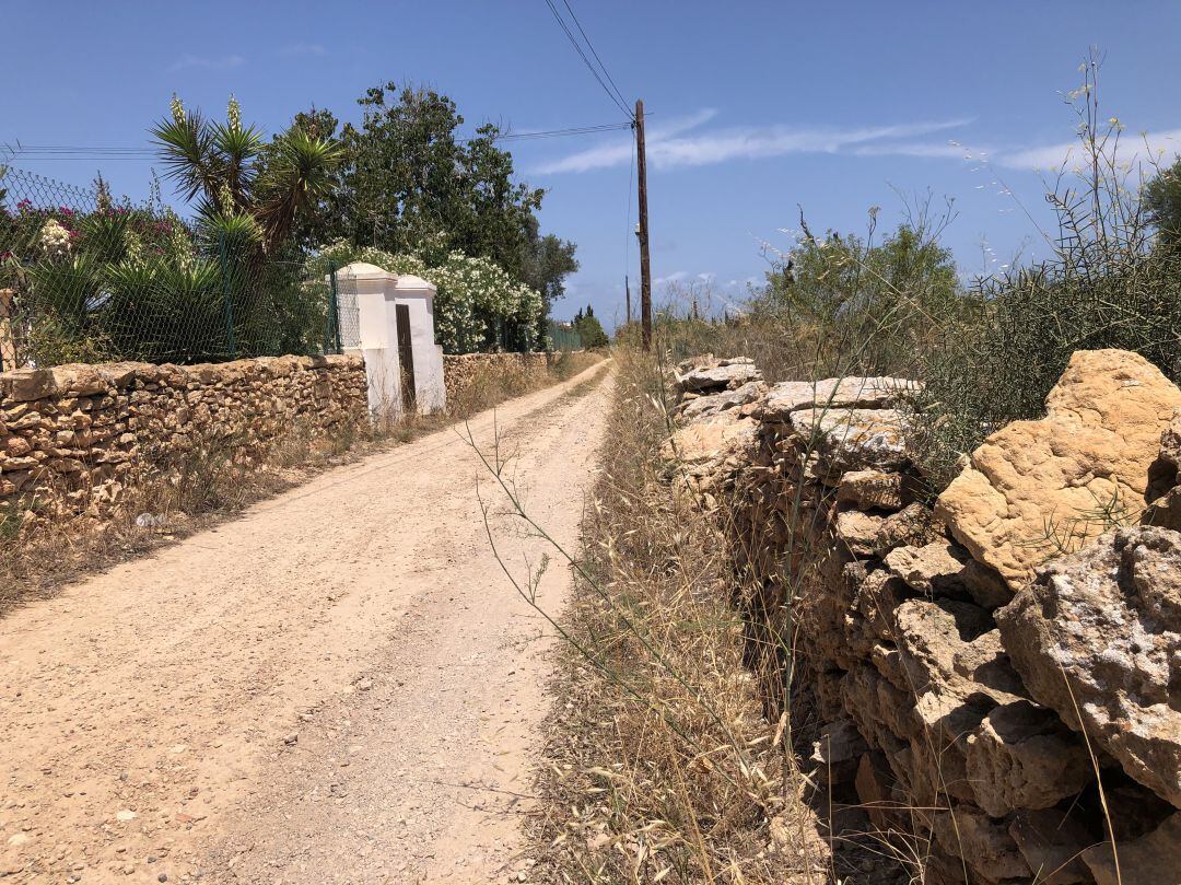 Uno de los caminos de Formentera