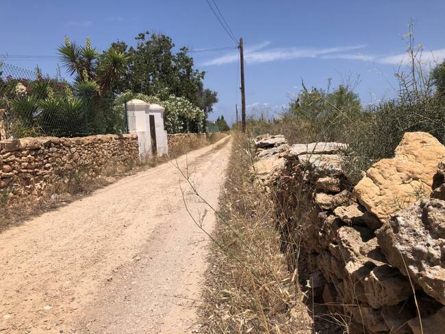 Uno de los caminos de Formentera