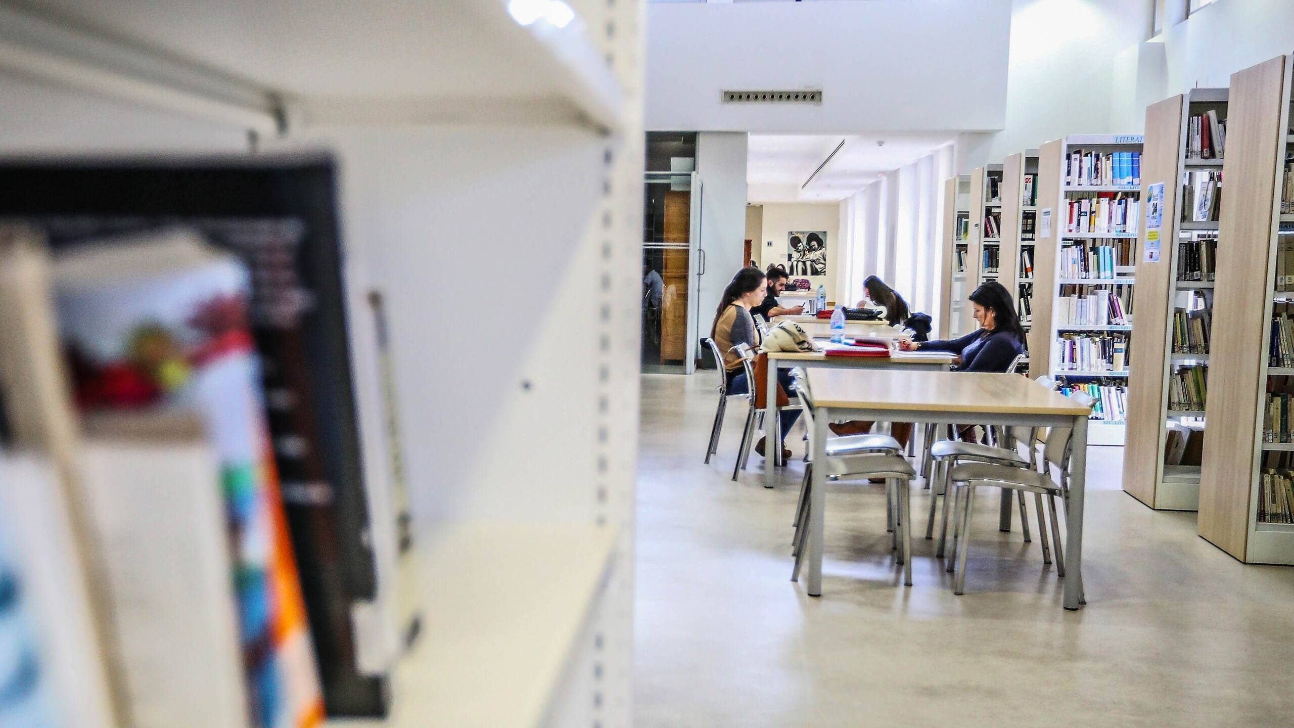 Biblioteca Municipal Alberto Navarro de Elda