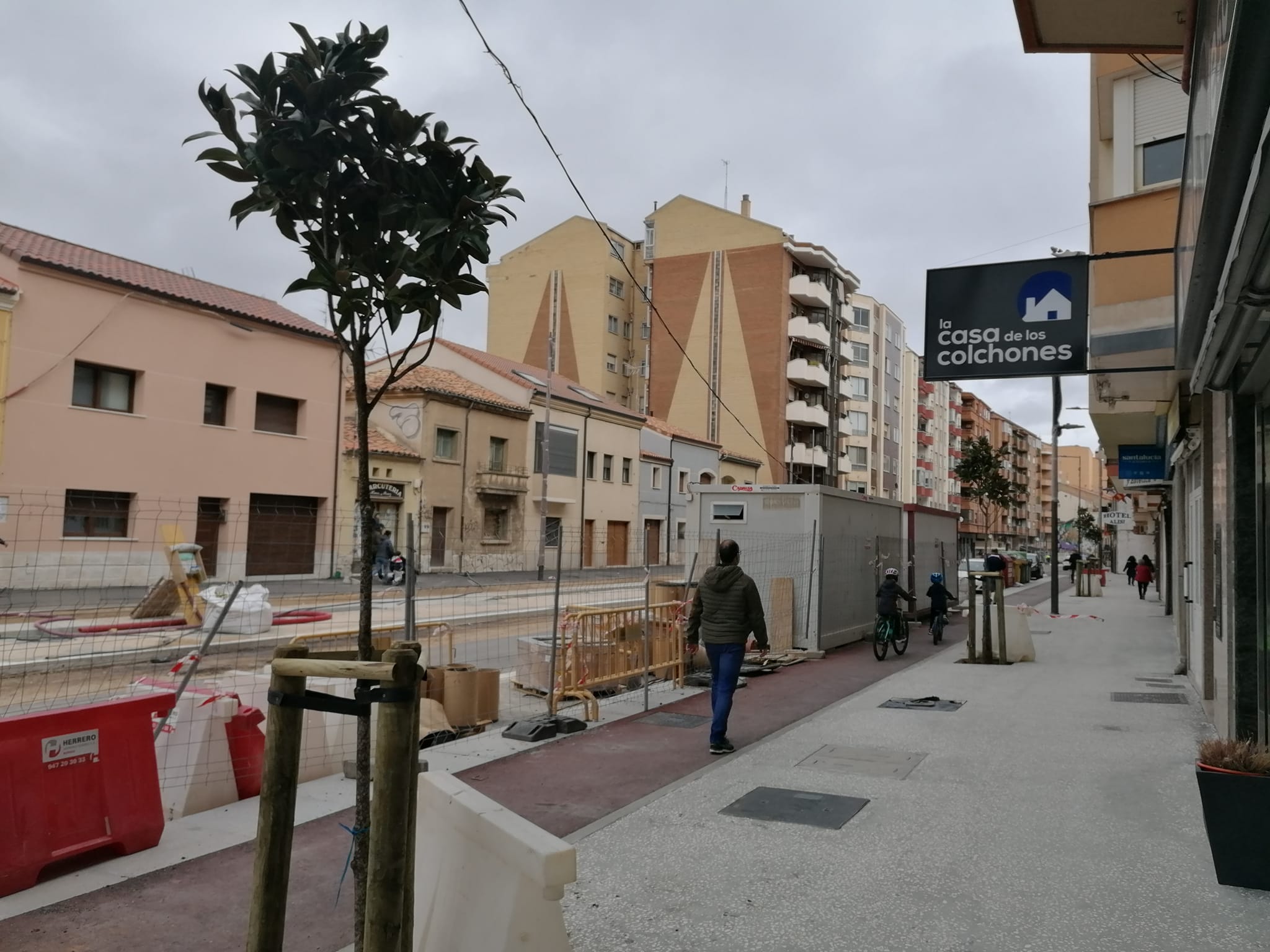 Plantación árboles en Avenida Castilla