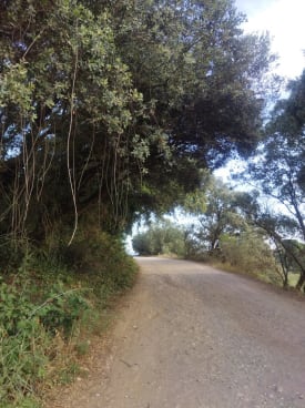 Barbastro readecúa el camino de Barraón