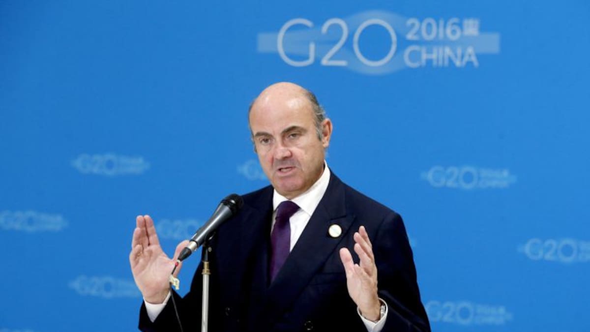 Palmeras Salvajes: 'Adaptar la forma al contenido'