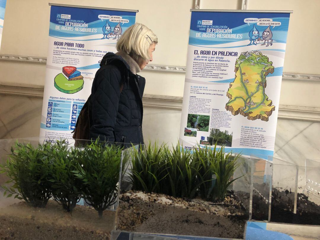 Imagen de la exposición