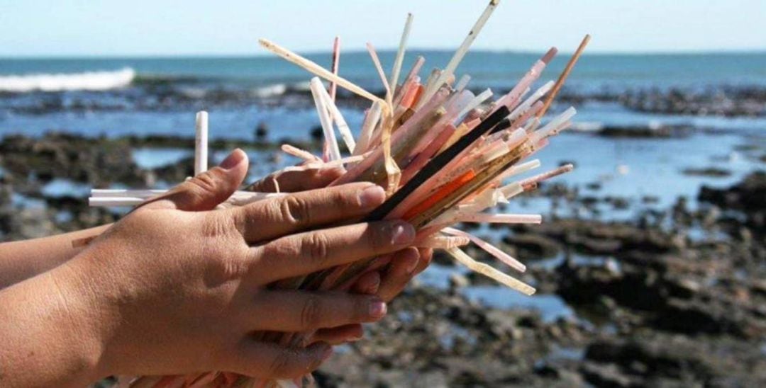 Residuos recogidos en una playa.