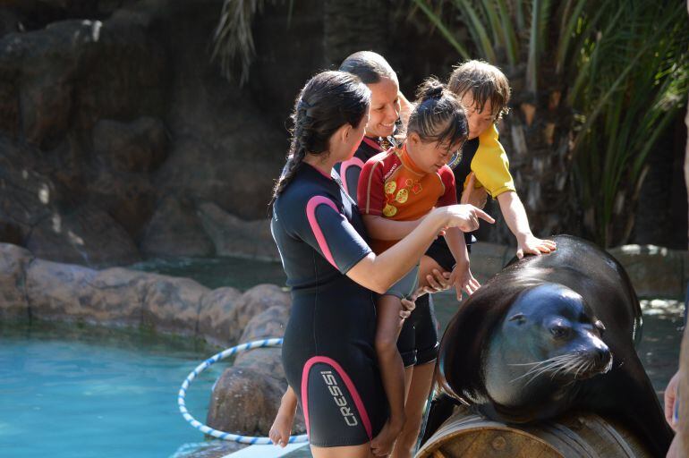 Proyecto TAO en Río Safari