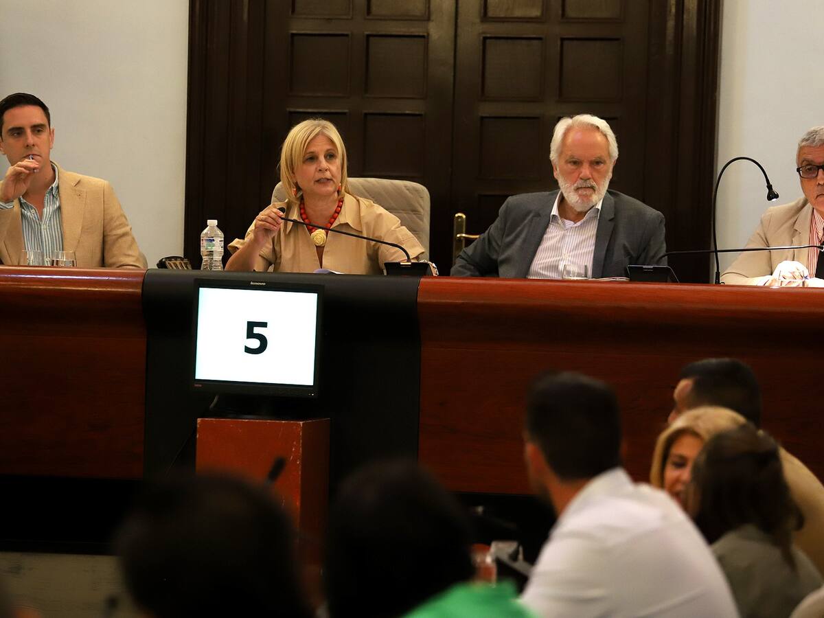 Declaraciones durante el pleno del mes de mayo en el Ayuntamiento de Jerez