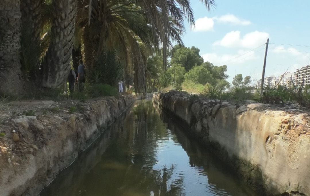 Acequia Mayor del Pantano