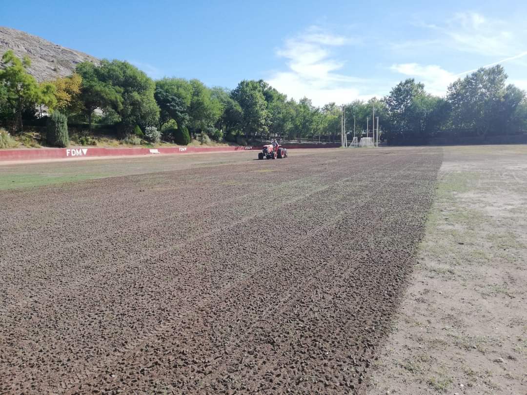 Zona de la resiembra del césped