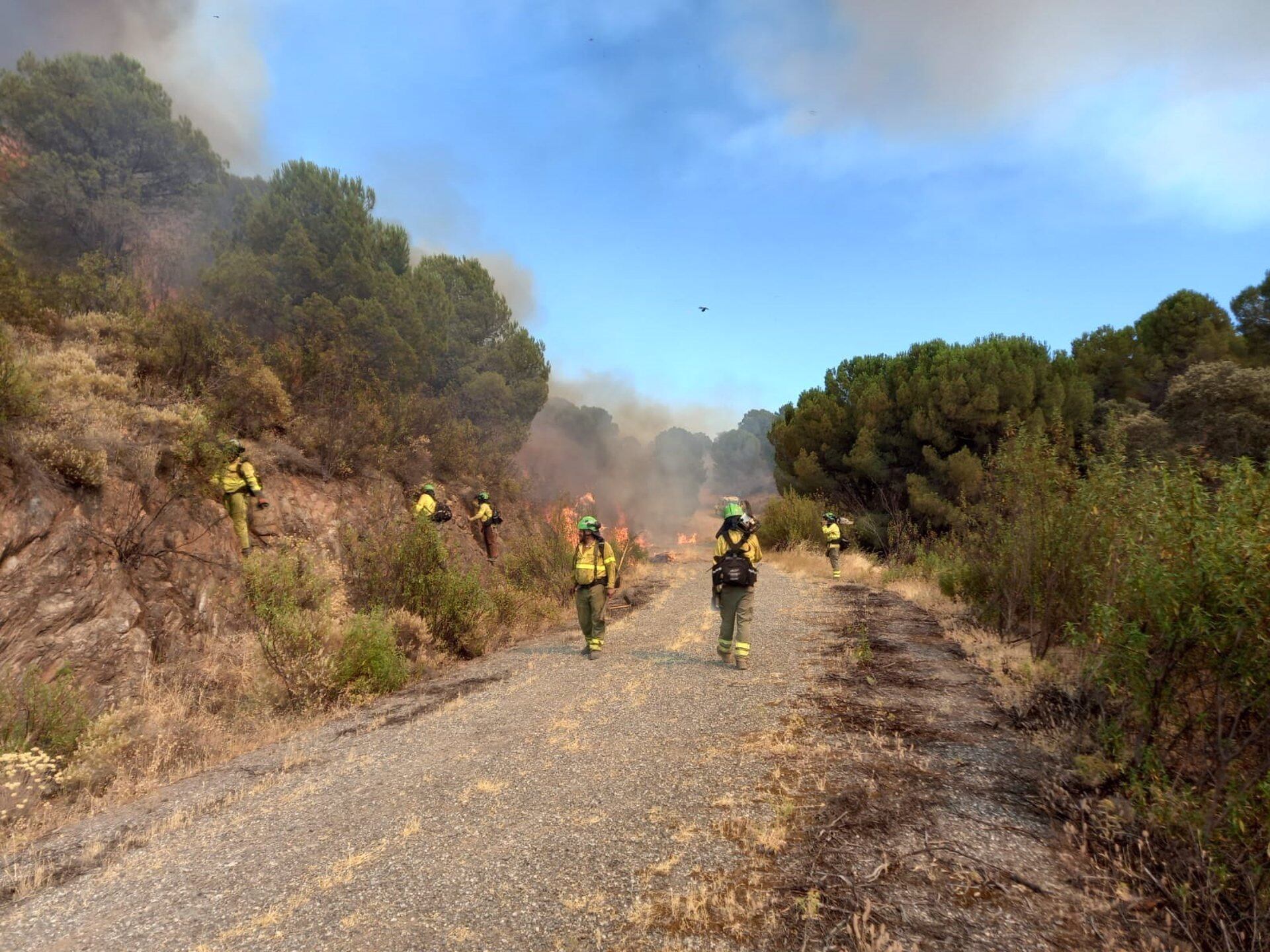 Efectivos del Plan Infoca actuando en el incendio forestal decretado en El Ronquillo/INFOCA