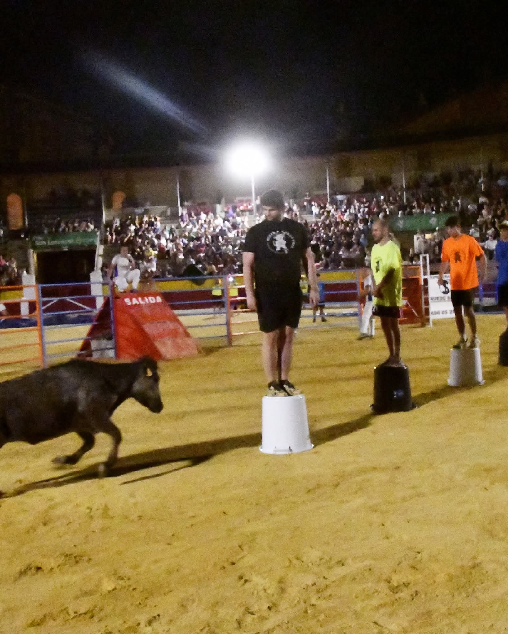 Gran Prix de las peñas en la Plaza de Toros de Huesca