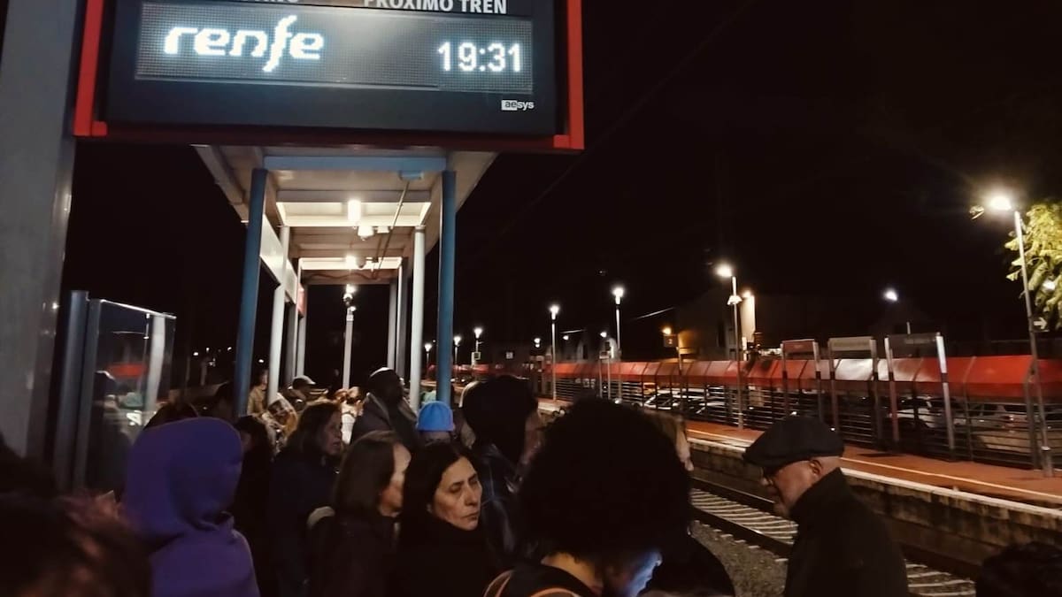 Volvió el tren a la C2 y volvieron los retrasos