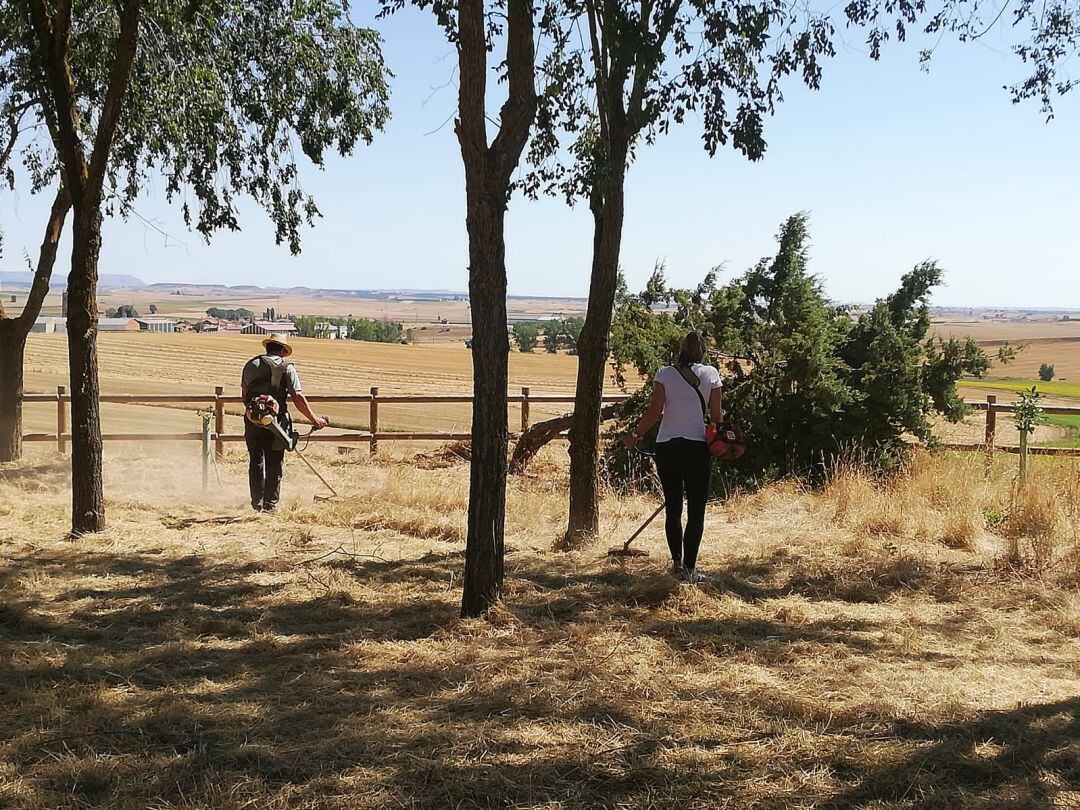 Limpieza de basuras de la localidad de Villaherreros