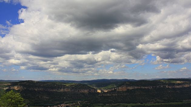 Estamos en el territorio del buitre leonado.