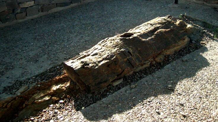 "Más personas se han puesto en contacto con nosotros para devolver nuevas piezas"