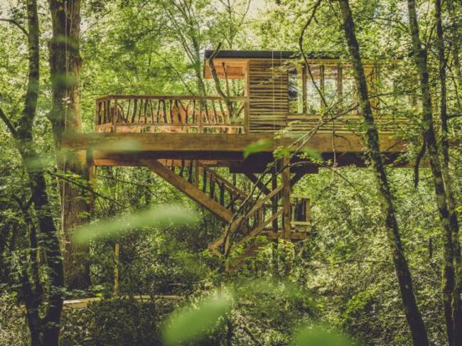 Una de las cabañas de Basoa Suites, en el robledal de Amati (Navarra)