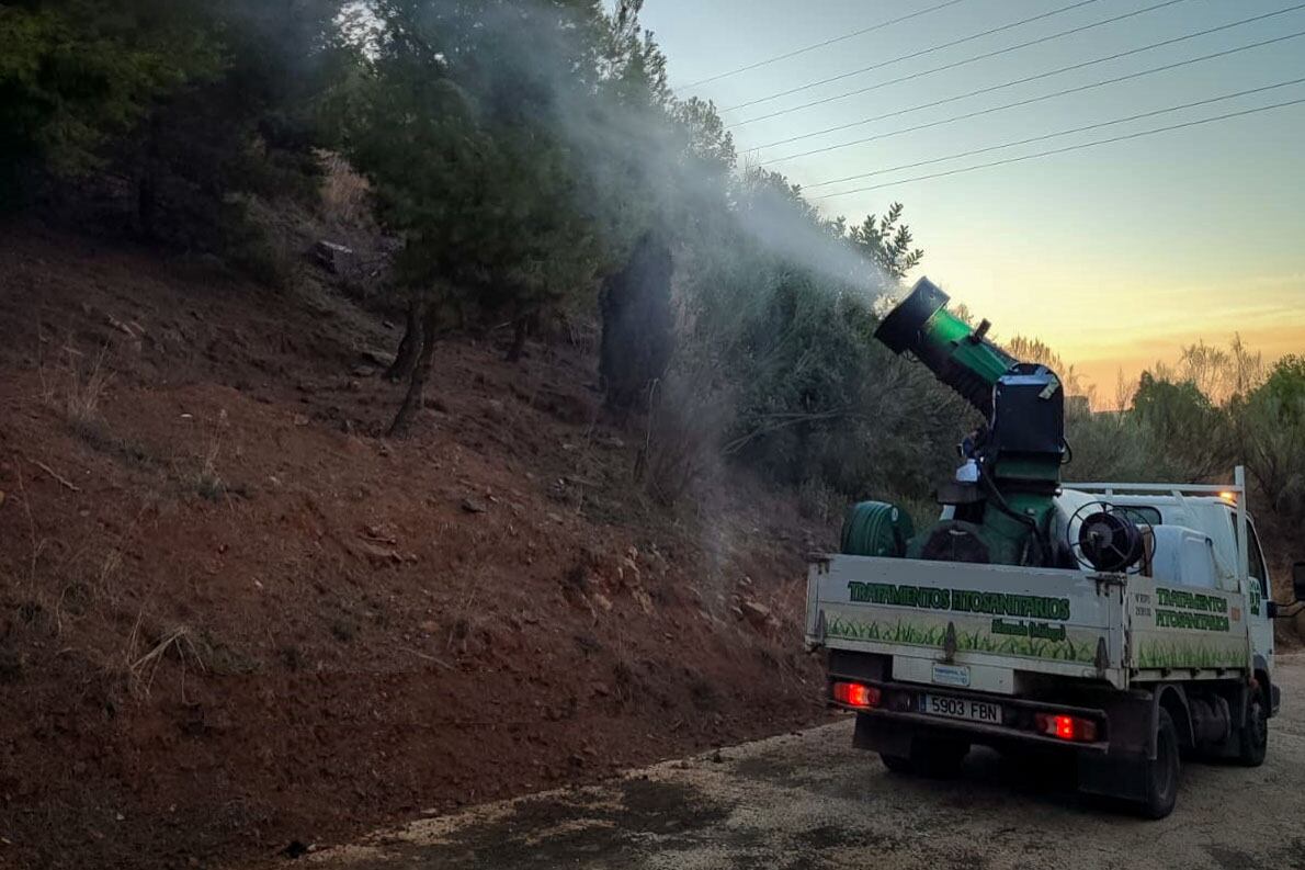 Comienzan los tratamientos contra la procesionaria en Málaga