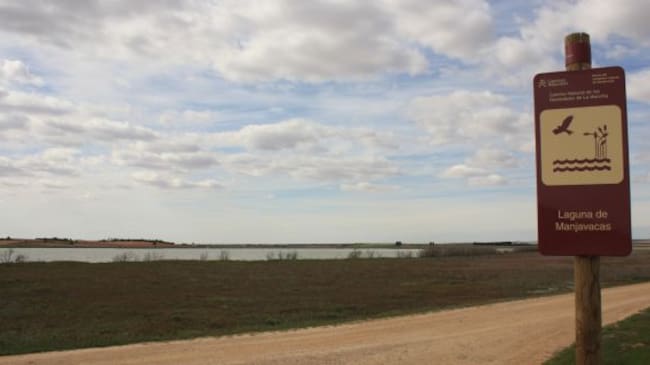Complejo lagunar de Manjavacas.