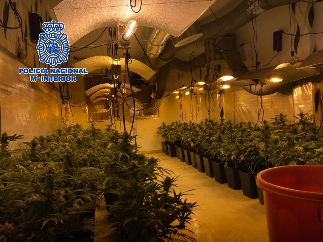 La operación la ha llevado a cabo la Policía Nacional en la provincia de Málaga