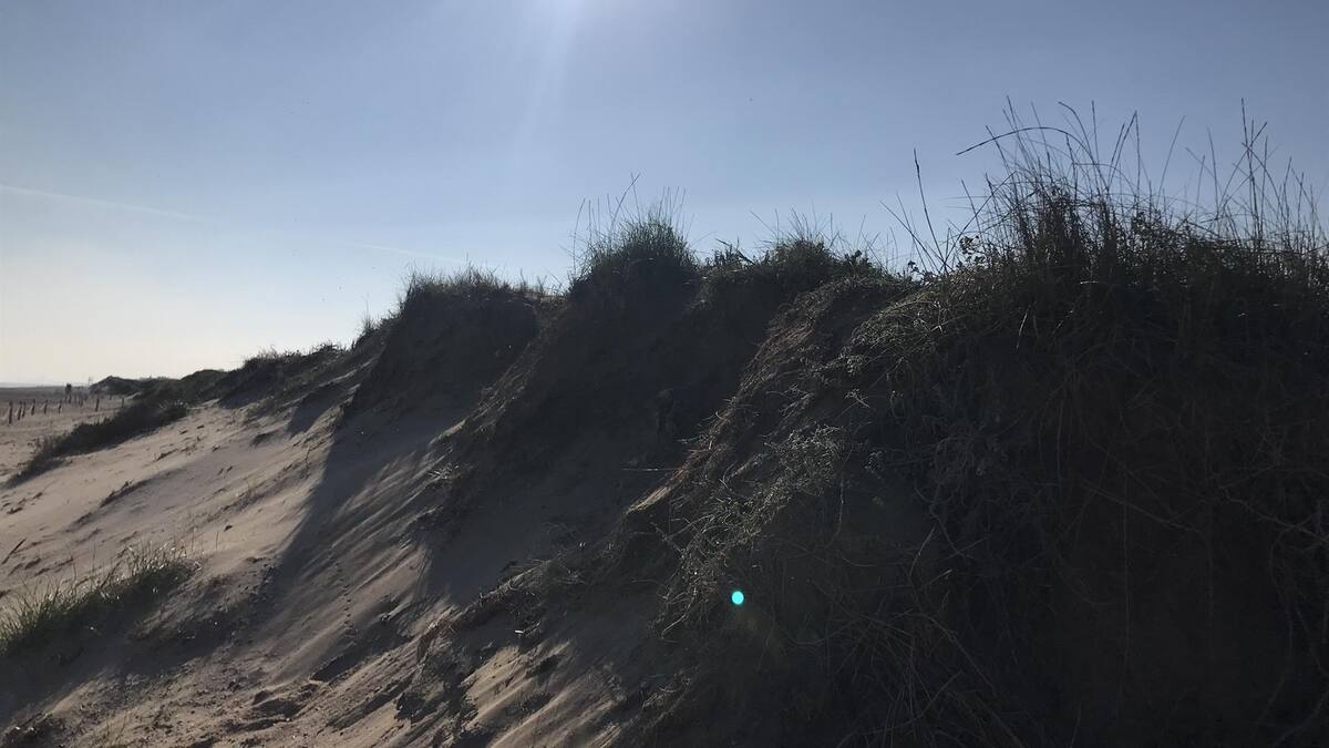 Adiós a 2022, el año más cálido y más húmedo de la historia en la Comunitat Valenciana