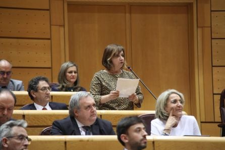 Patricia Abascal, en el pleno del Senado