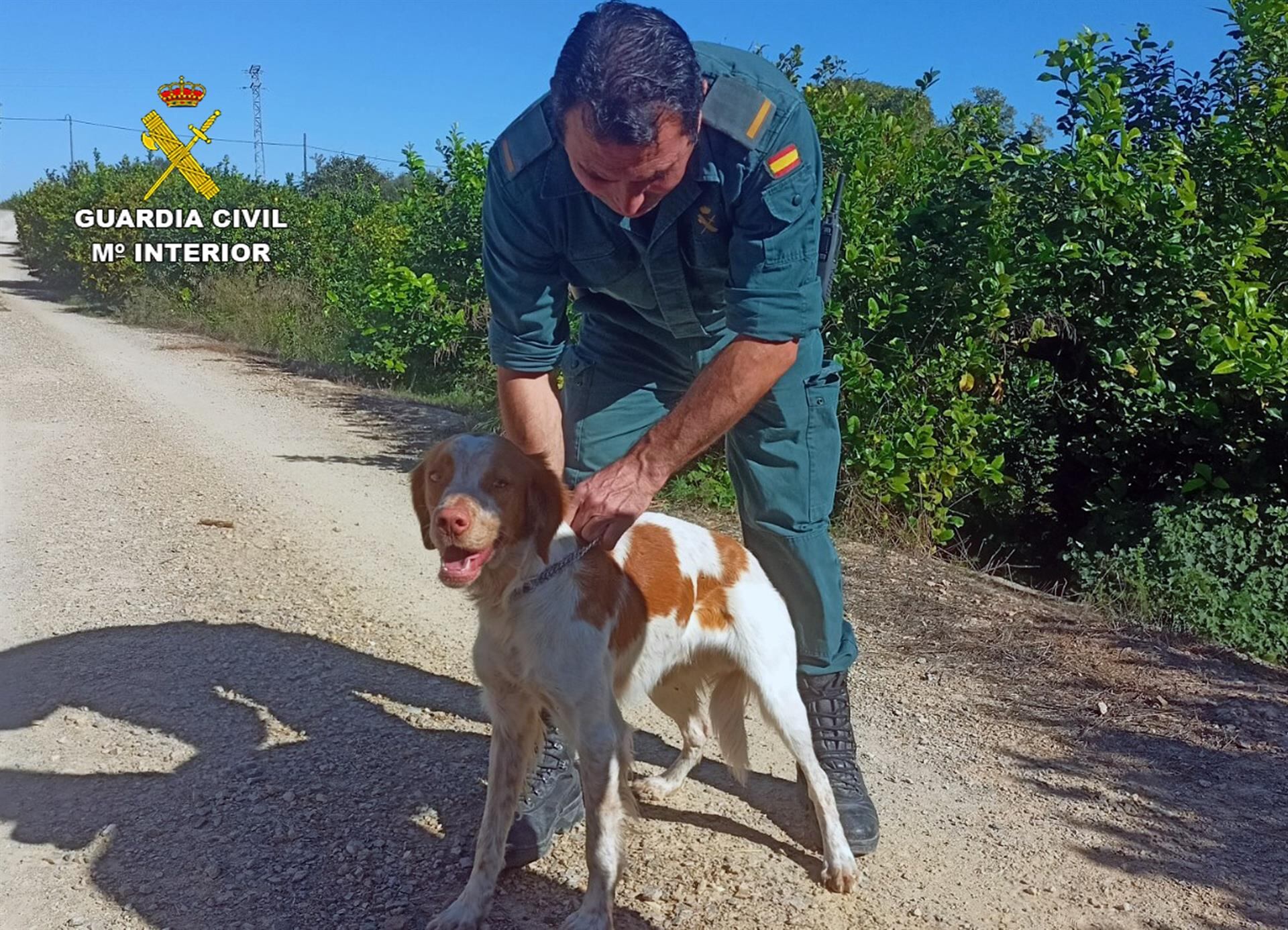 Un agente de la Guardia Civil junto al perro rescatado