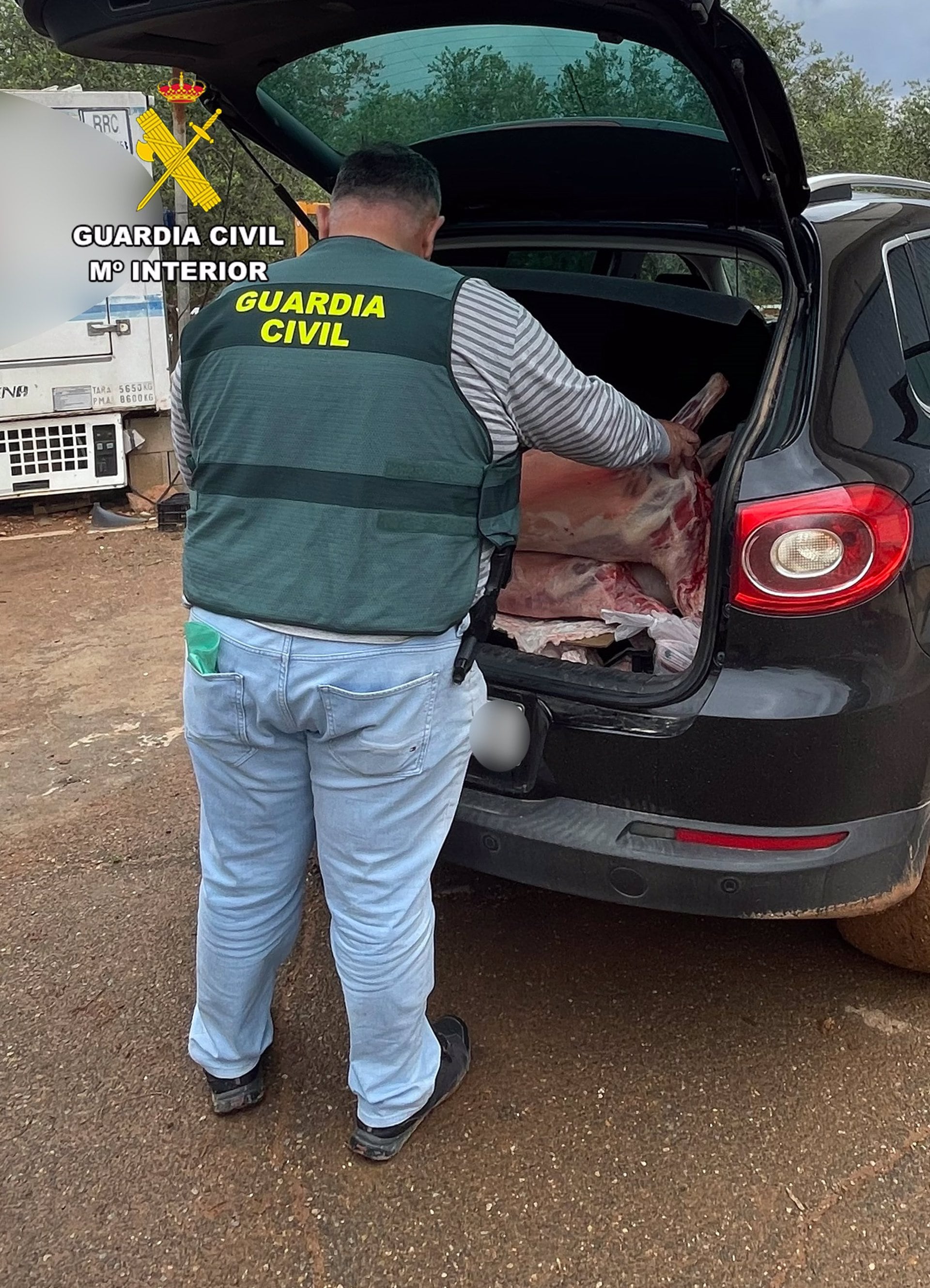 Más de 1.000 corderos se han sustraído en apenas unos meses en el Campo de Cartagena