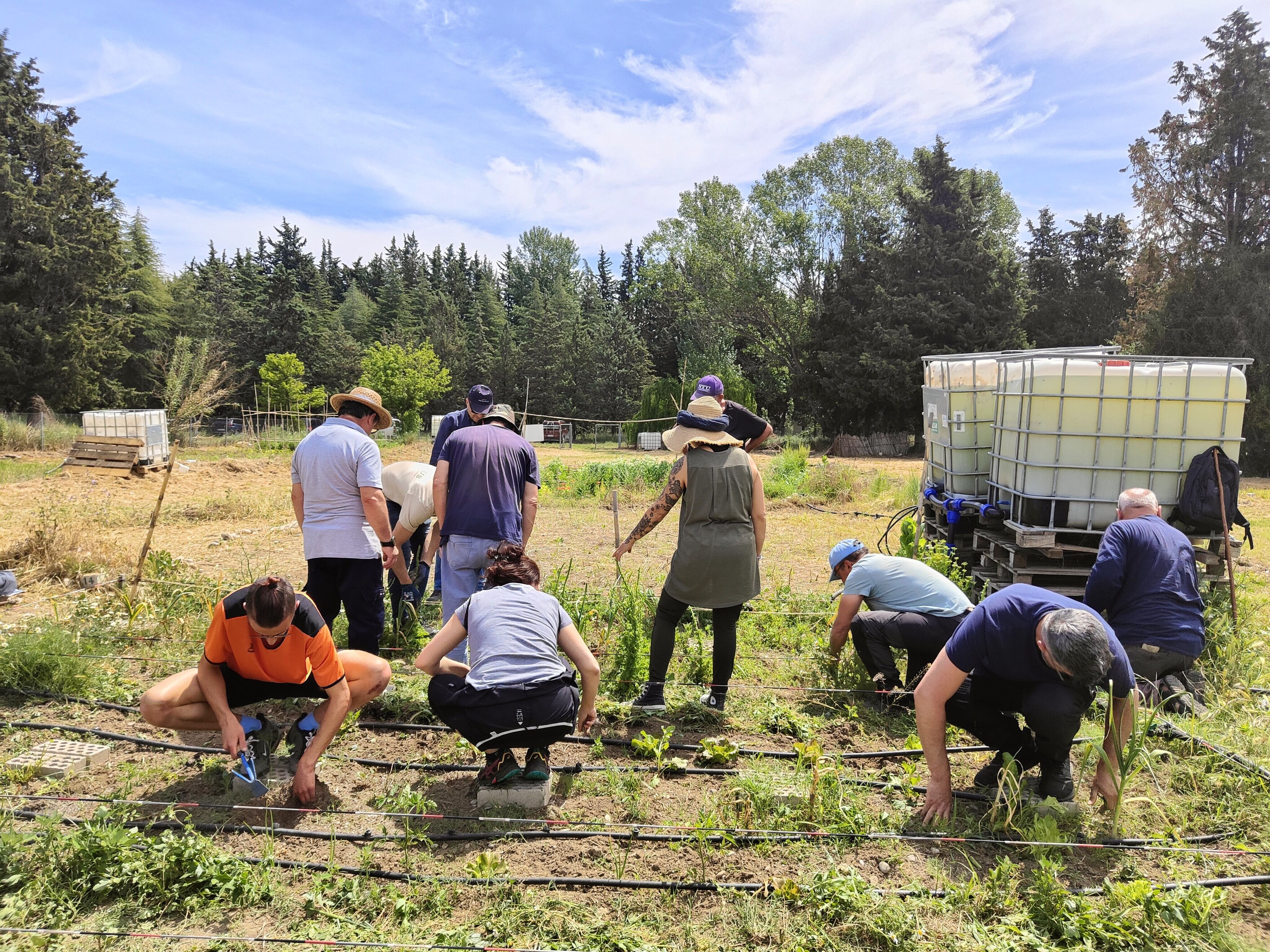 El lema del curso es “aprende otra forma de cultivar, un huerto productivo y sostenible”