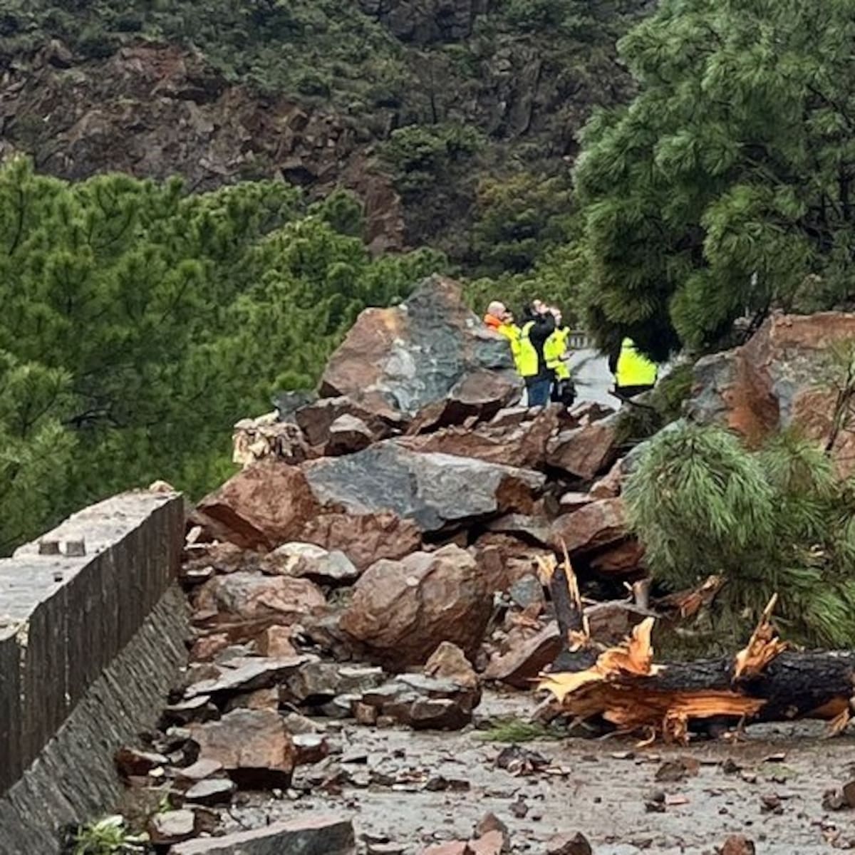 La carretera A-397, que une la Serranía de Ronda y la Costa del Sol, se mantiene cortada por desprendimiento