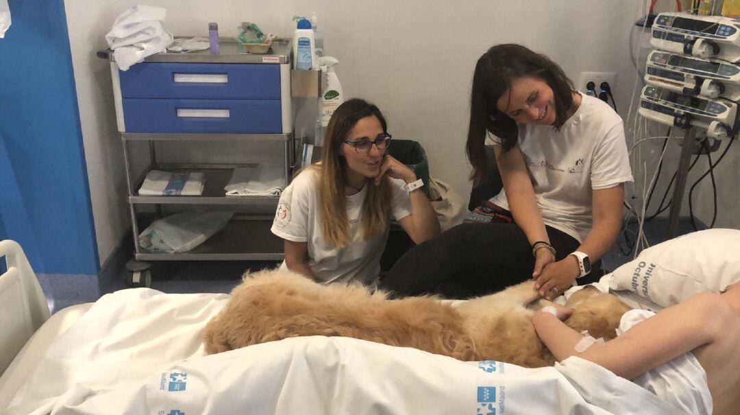 Terapia con perros en las UCIS pediátricas