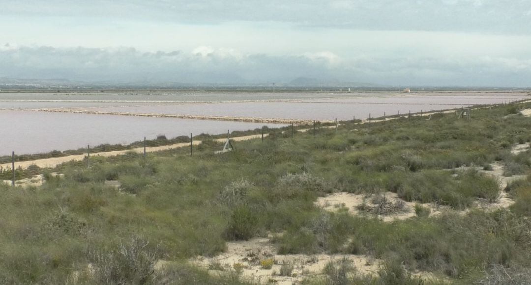 Imagen del Parque Natural de Las Salinas de Santa Pola