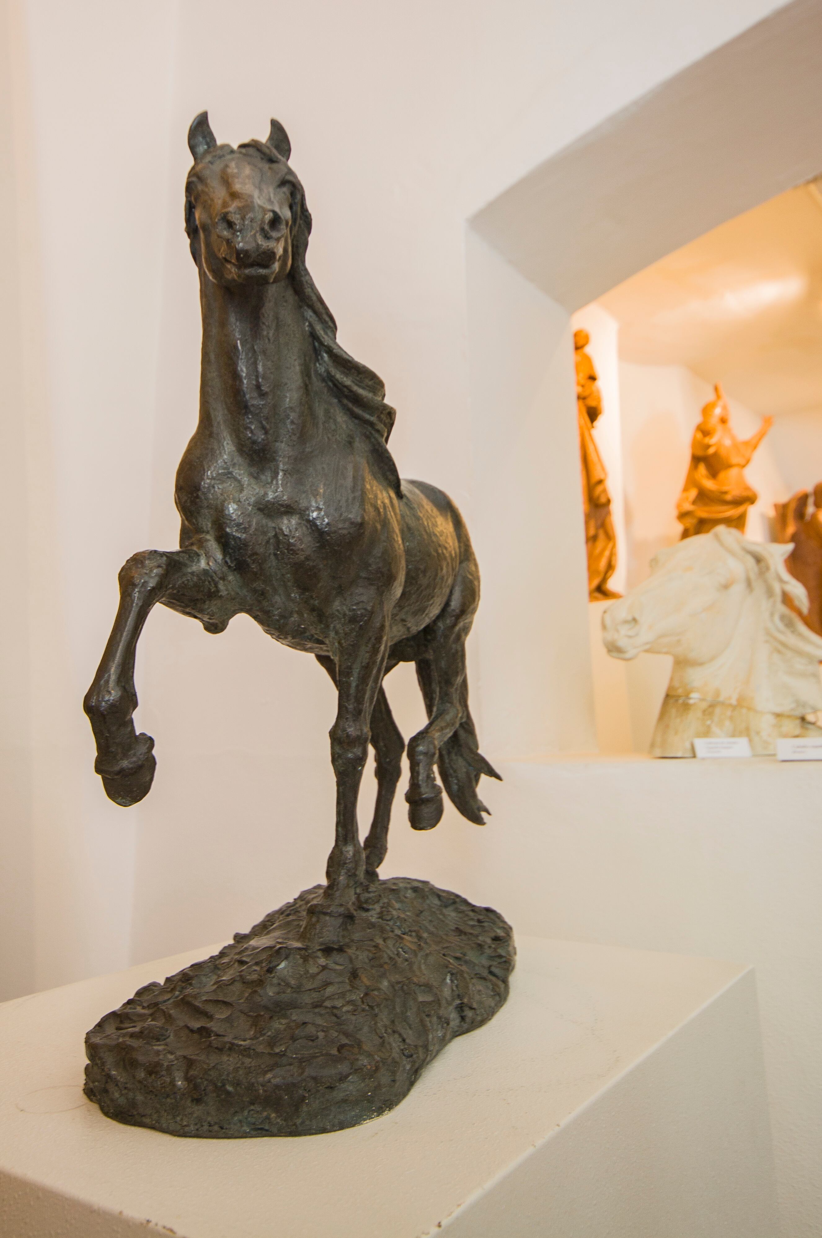 Museo Navarro Santafé