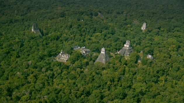 La selva guatemalteca del departamento de Petén.