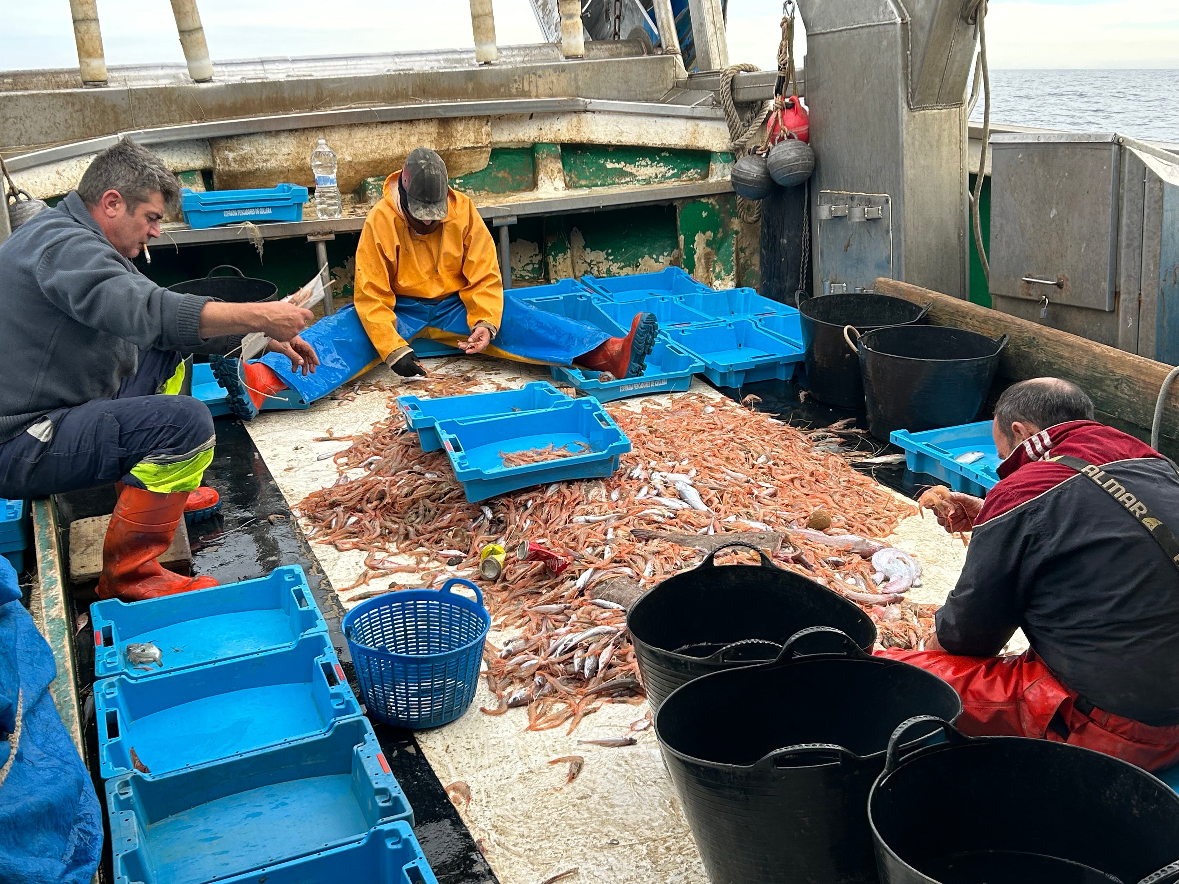 Una jornada de trabajo en un barco de arrastre que faena en el Mediterráneo en busca de la gamba, una profesión en riesgo de extinción