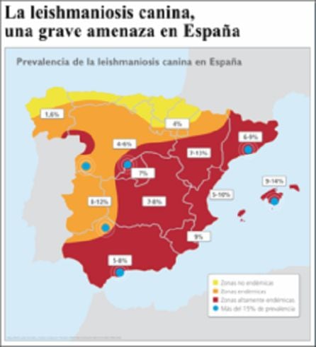 Mapa de prevalencia de leishmaniosis en España