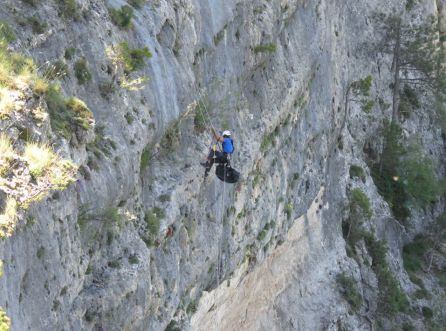 El escalador accede por los cortados hasta donde está el nido para cojer al quebratahuesos y llevarlo a la zona donde se encuentran los veterinarios y tecnicos de la fundación