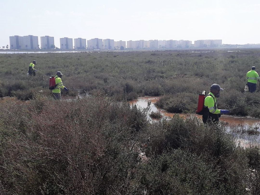 Imagen de archivo. Un equipo fumiga la zona de los saladares junto a Urbanova