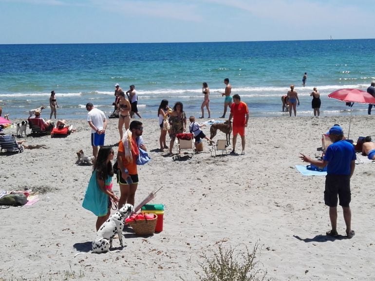 Playa para perros (Archivo)