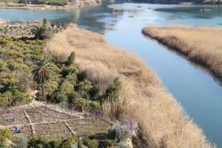 Imagen del río Segura a su paso por el término municipal de Blanca