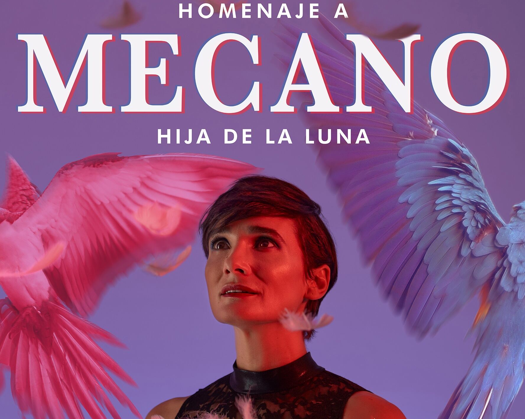 El homenaje a Mecano &quot;Hijo de la Luna&quot; llega a Palencia