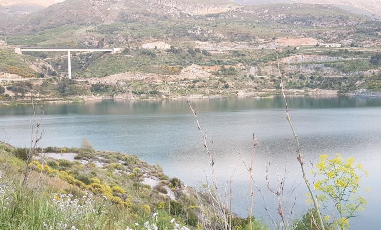 Situación del embalse de Rules (Granada) a comienzos del verano de 2018