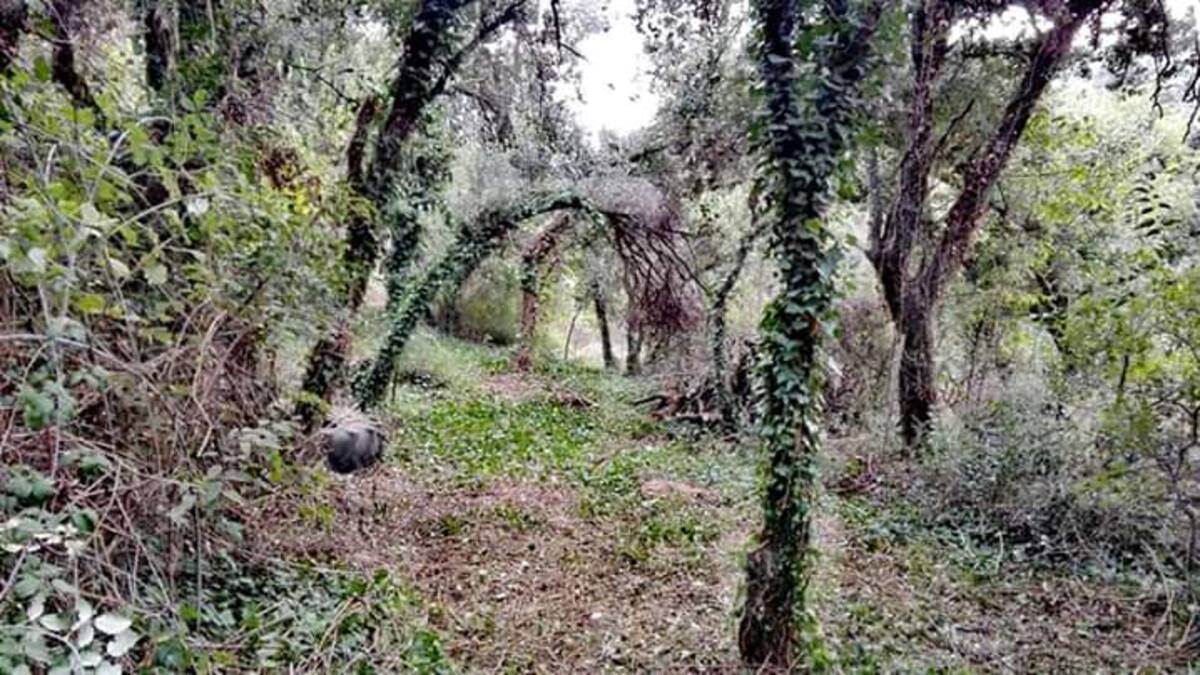 Benabarre suma a sus propuestas turísticas un sendero circular