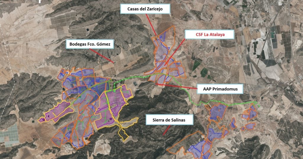 Ubicación de la planta