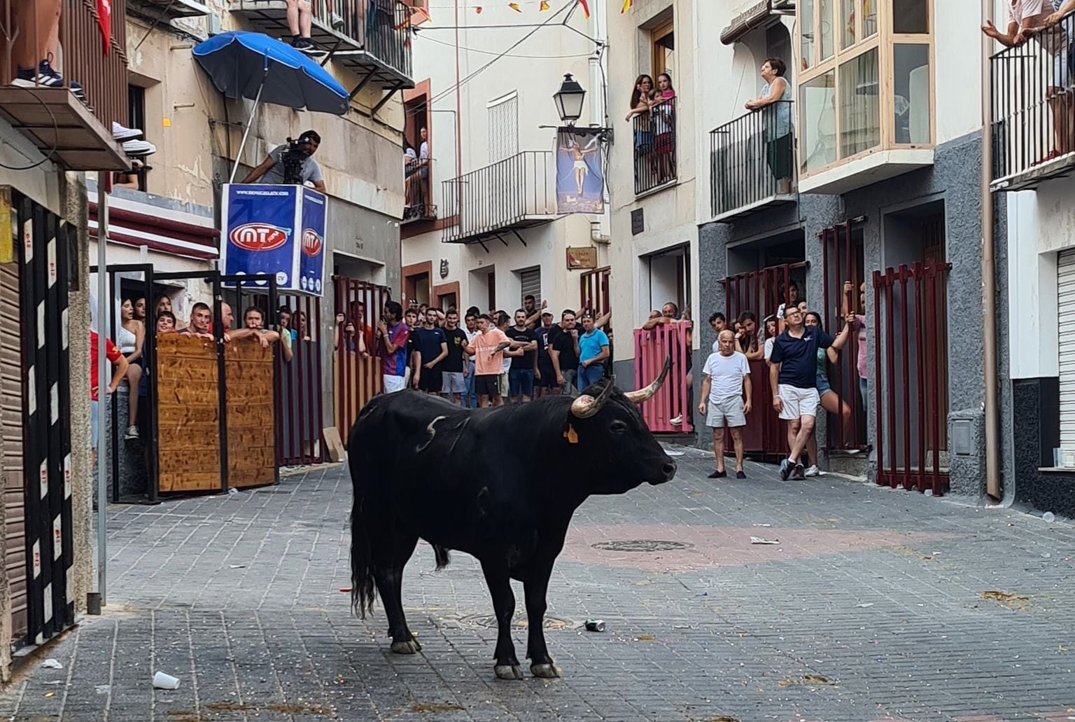 Uno de los toros durante uno de los encierros