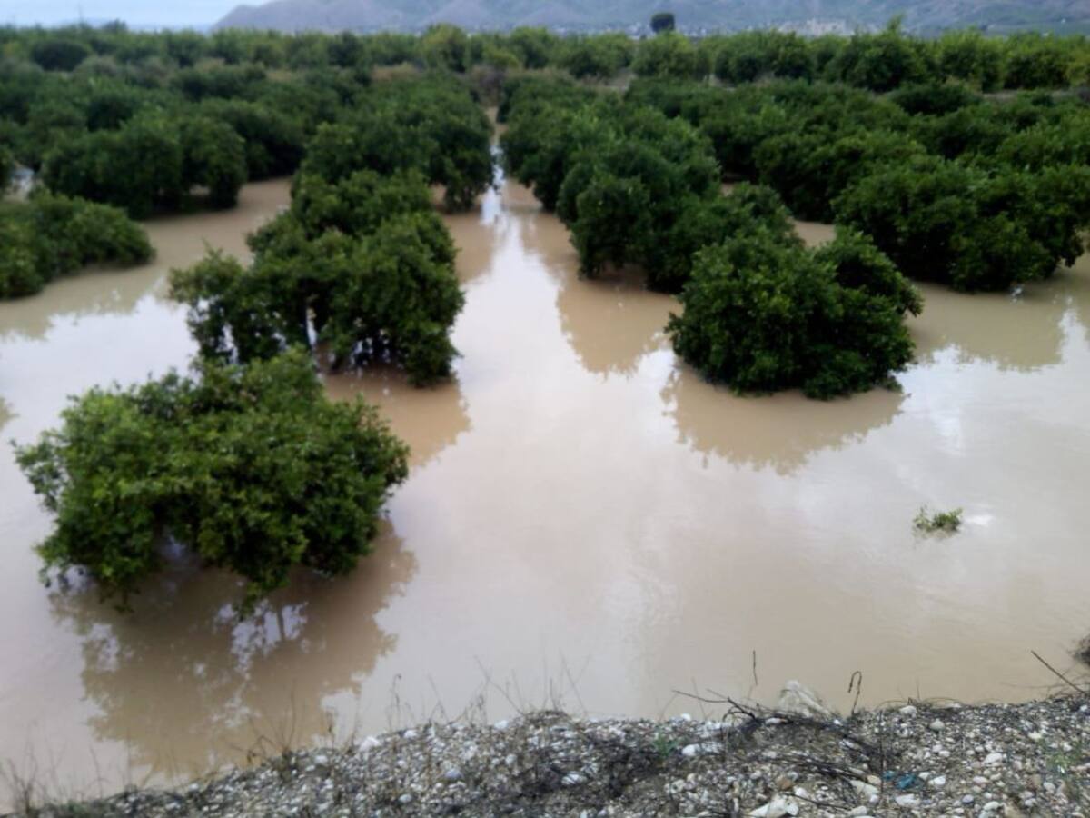 El president dels regants sobre la gota freda: "Tornarà a passar"