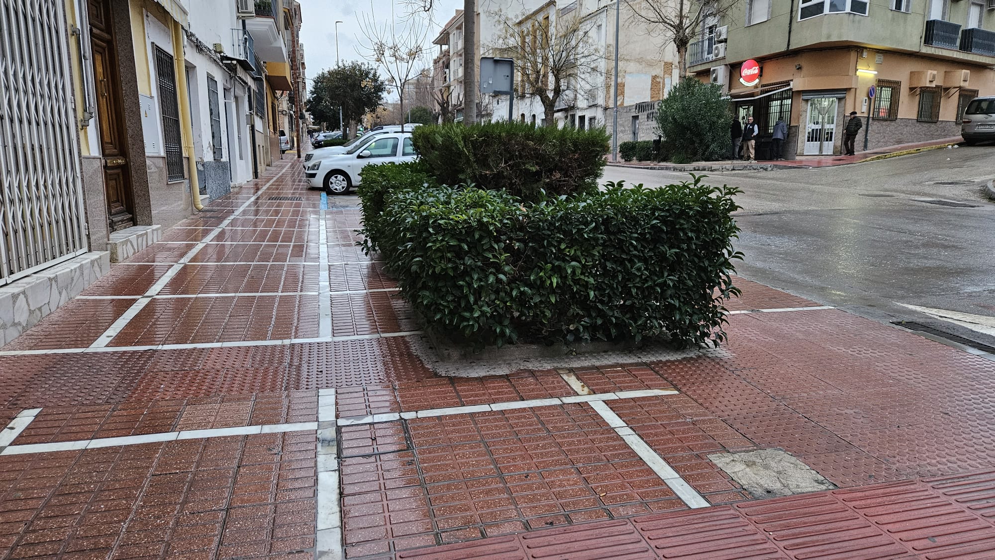 Estado previo de los jardinillos, antes de la actuación