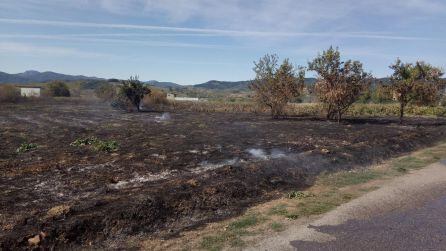 Zona afectada por el incendio