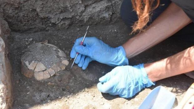 Restos de la tortuga junto a su huevo en Pompeya