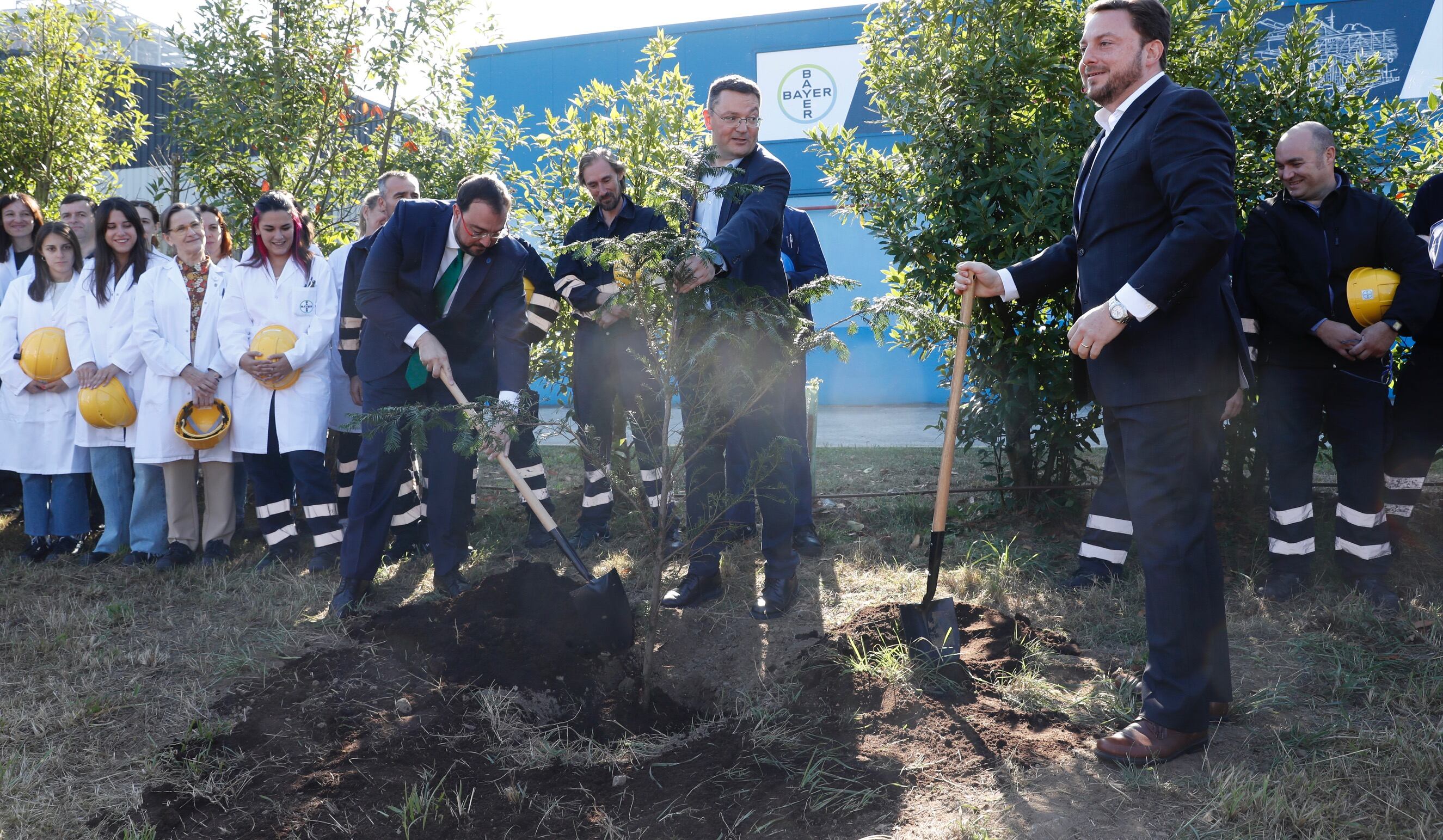 El presidente del Principado planta un tejo como símbolo del 80 aniversario de Bayer en La Felguera en la zona de expansión de la fábrica.